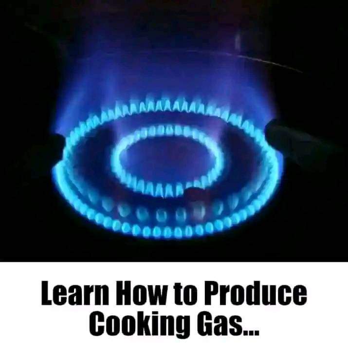 FB_IMG_1719554939146